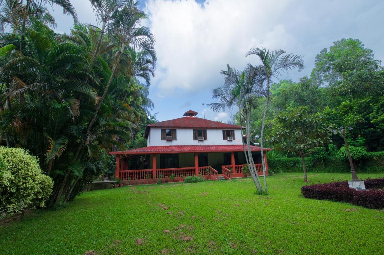 סאורהה Chitwan Paradise Hotel מראה חיצוני תמונה