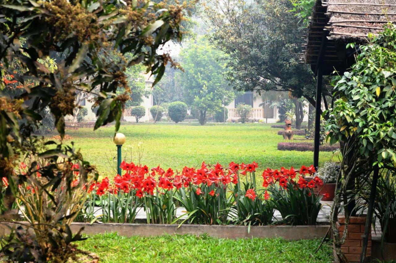 סאורהה Chitwan Paradise Hotel מראה חיצוני תמונה