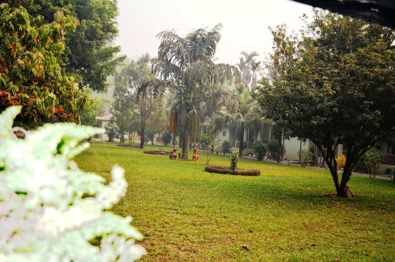 סאורהה Chitwan Paradise Hotel מראה חיצוני תמונה