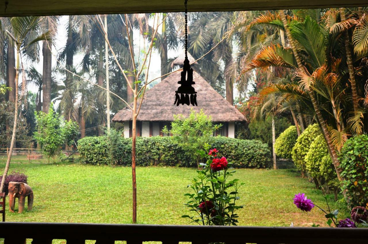 סאורהה Chitwan Paradise Hotel מראה חיצוני תמונה