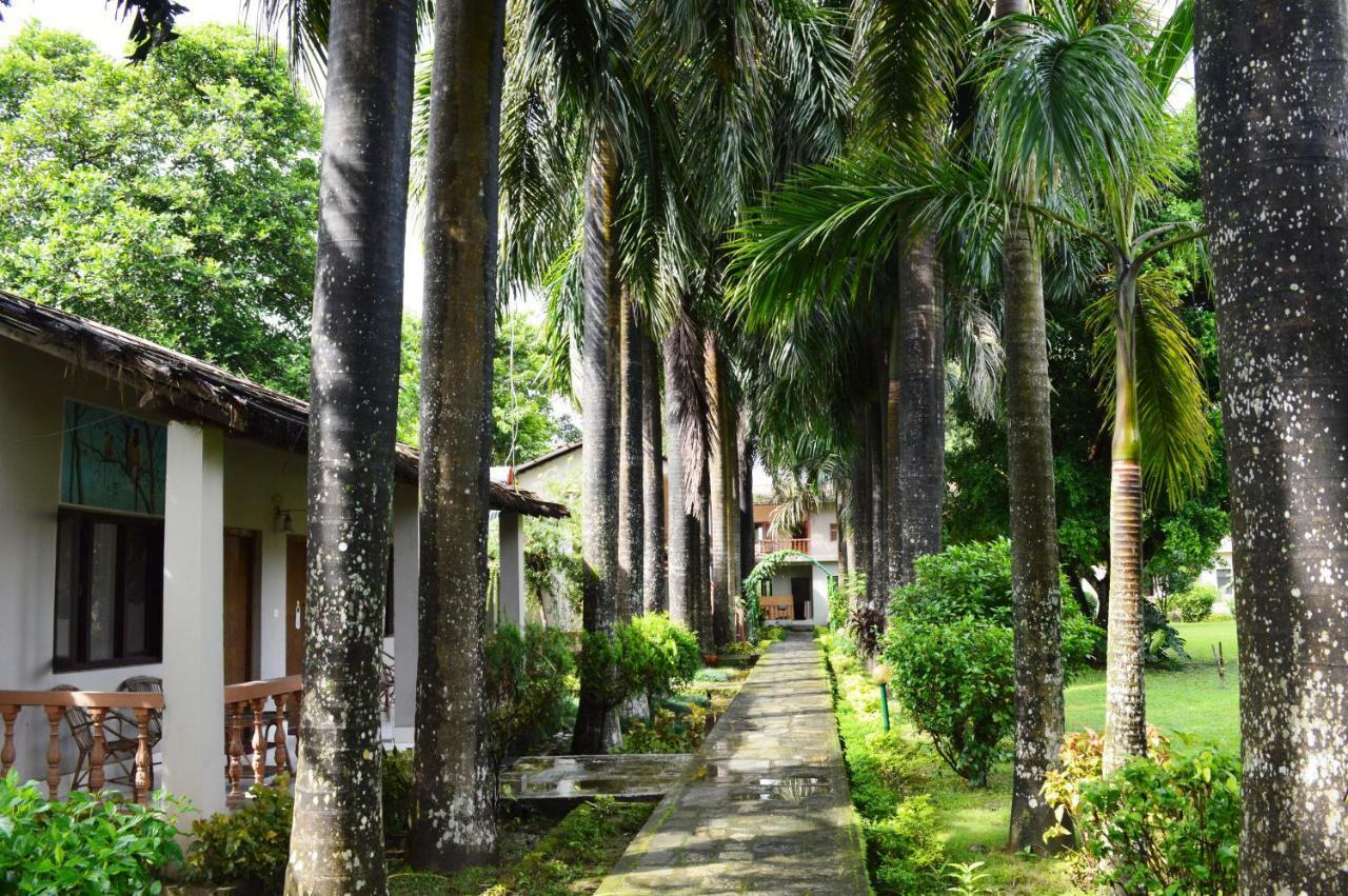 סאורהה Chitwan Paradise Hotel מראה חיצוני תמונה